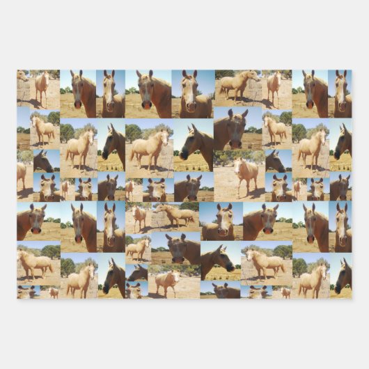 Palomino Paarden Collarge, geschenk Wrap Sheets, Inpakpapier Vel (Voorkant 2)