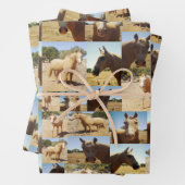 Palomino Paarden Collarge, geschenk Wrap Sheets, Inpakpapier Vel (In situ)