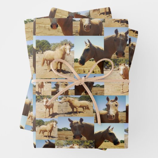 Palomino Paarden Collarge, geschenk Wrap Sheets, Inpakpapier Vel (In situ)