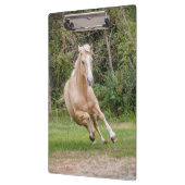 palomino-paardenklembord klembord (Links)