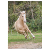 palomino-paardenklembord klembord (Achterkant)