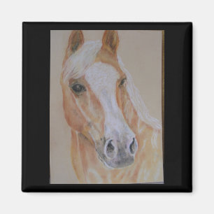 Palomino paardenmagneet magneet