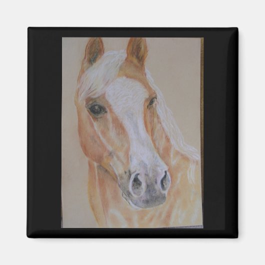 Palomino paardenmagneet magneet (Voorkant)