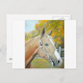 Palomino, Paardenpastel Briefkaart (Voorkant / Achterkant)