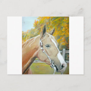 Palomino, Paardenpastel Briefkaart