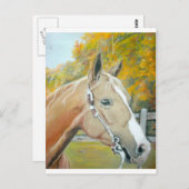 Palomino, Paardenpastel Briefkaart (Voorkant / Achterkant)