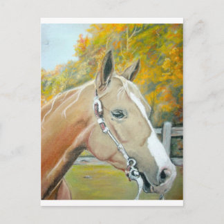 Palomino, Paardenpastel Briefkaart