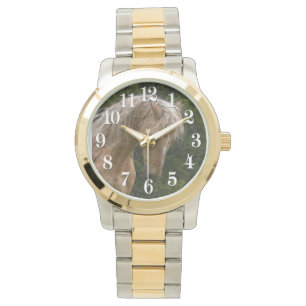 Palomino Paint Horse & Forest Foto Horloge