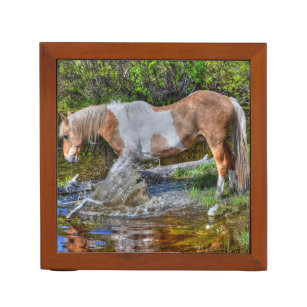 Palomino Paint Horse & Forest Pond Photo 2 Pennenhouder