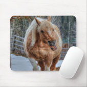 Palomino Paint Ranch Horse Equine Muismat (Met muis)