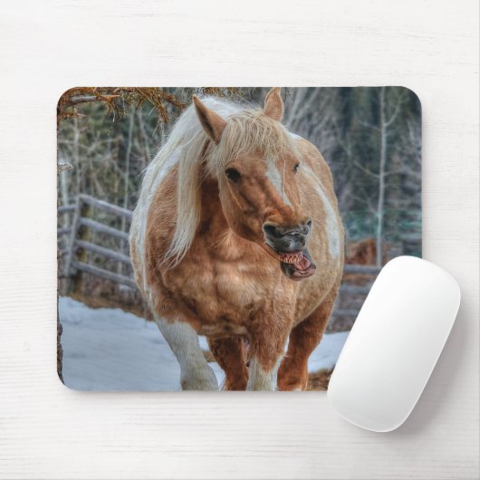 Palomino Paint Ranch Horse Equine Muismat (Met muis)