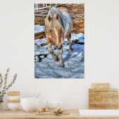 Palomino Paint Ranch Horse & Sneeuwpop Poster (Keuken)