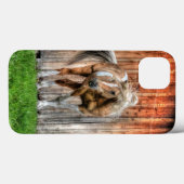 Palomino Paint Stallion en Barn voor paardenliefhe Case-Mate iPhone Case (Achterkant (horizontaal))