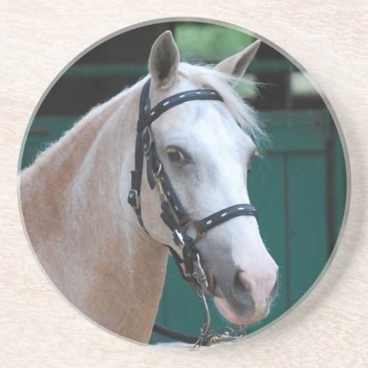 Palomino Paso Fino Onderzetter (Voorkant)