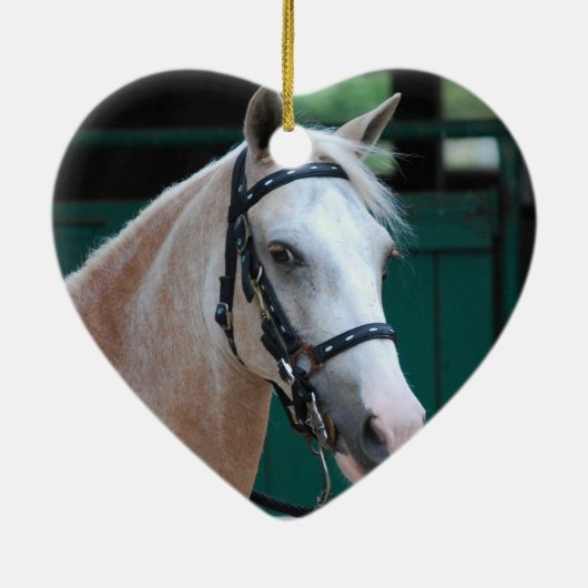 Palomino Paso Fino Ornament (Achterkant)