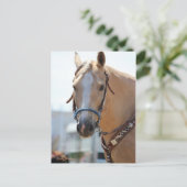 Palomino Pic Briefkaart (Staand voorkant)