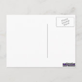 Palomino Pic Briefkaart (Achterkant)