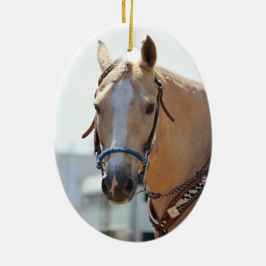 Palomino Pic Keramisch Ornament (Achterkant)