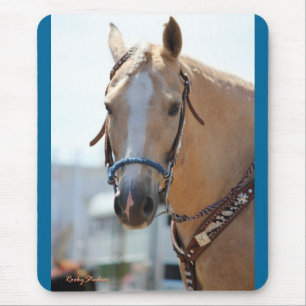 Palomino Pic Muismat