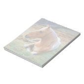Palomino Pinto Horse Resting Artwork Notitieblok (Linkerzijde)