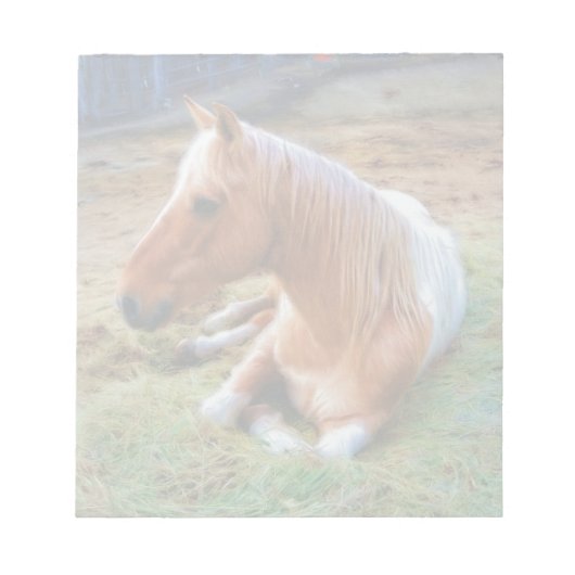 Palomino Pinto Horse Resting Artwork Notitieblok (Voorkant)