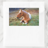 Palomino Pinto Horse Resting Artwork Rechthoekige Sticker (Tas)
