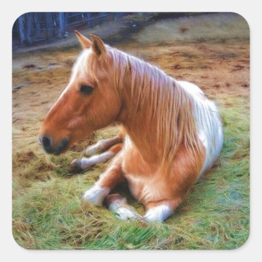 Palomino Pinto Horse Resting Artwork Vierkante Sticker (Voorkant)