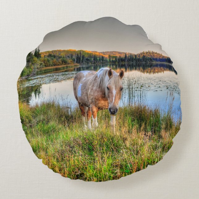 Palomino Pinto Paint Stallion van een meer Rond Kussen (Achterkant)