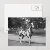 Palomino Pony, 1915 Briefkaart (Voorkant / Achterkant)