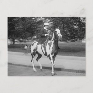 Palomino Pony, 1915 Briefkaart