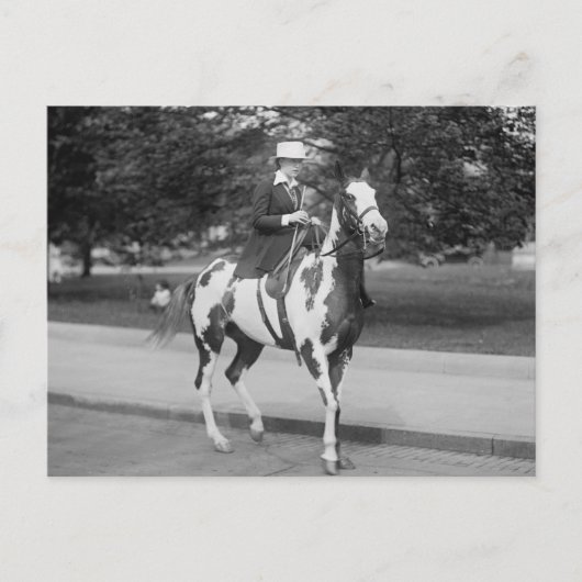 Palomino Pony, 1915 Briefkaart (Voorkant)