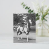 Palomino Pony, 1915 Briefkaart (Staand voorkant)