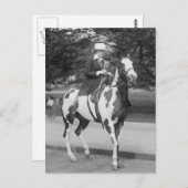 Palomino Pony, 1915 Briefkaart (Voorkant / Achterkant)