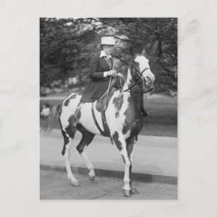 Palomino Pony, 1915 Briefkaart