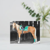 Palomino-Pony in Belmont Park Briefkaart (Staand voorkant)