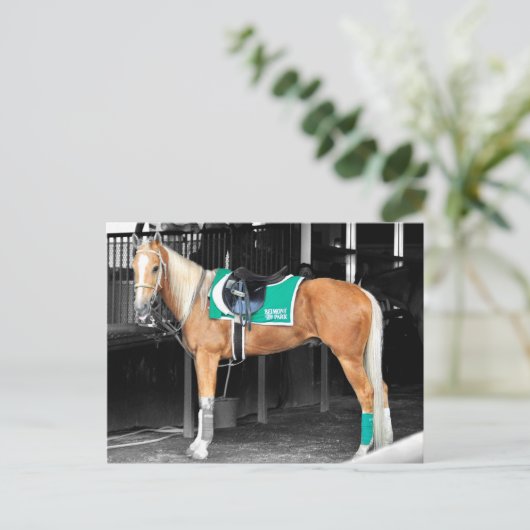 Palomino-Pony in Belmont Park Briefkaart (Staand voorkant)