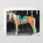 Palomino-Pony in Belmont Park Briefkaart (Voorkant / Achterkant)