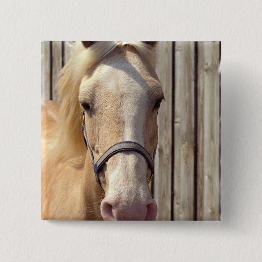 Palomino Pony Square Pin Vierkante Button 5,1 Cm (Voorkant)