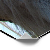 Palomino Poster (Hoek)