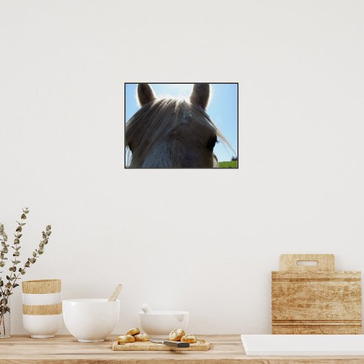 Palomino Poster (Keuken)