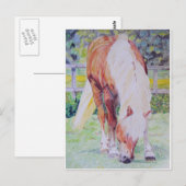 Palomino Princess Briefkaart (Voorkant / Achterkant)