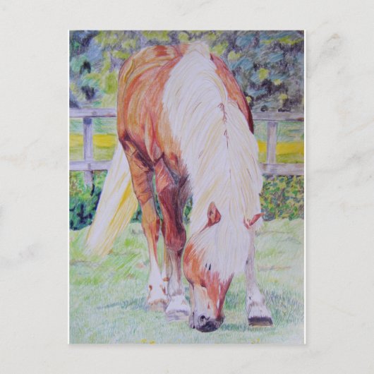 Palomino Princess Briefkaart (Voorkant)