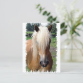 Palomino Quarter Horse Briefkaart (Staand voorkant)