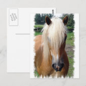 Palomino Quarter Horse Briefkaart (Voorkant / Achterkant)