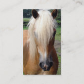 Palomino Quarter Horse Visitekaartje (Achterkant)