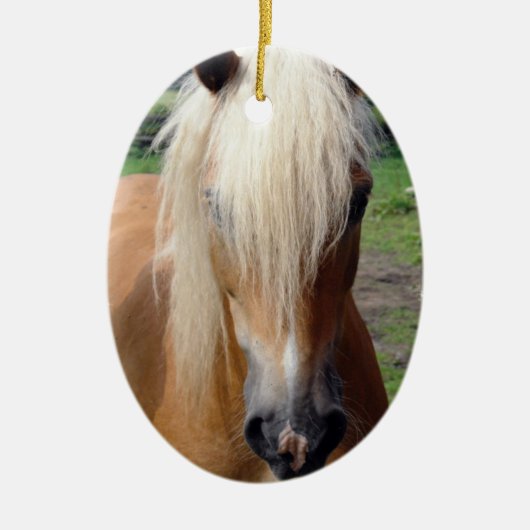 Palomino Quaterhorse Ornament (Voorkant)
