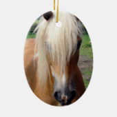 Palomino Quaterhorse Ornament (Achterkant)