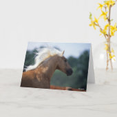 Palomino Rocky Mountain Horse Headshot Kaart (Gele Bloem)