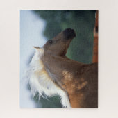 Palomino Rocky Mountain Horse Headshot Legpuzzel (Verticaal)