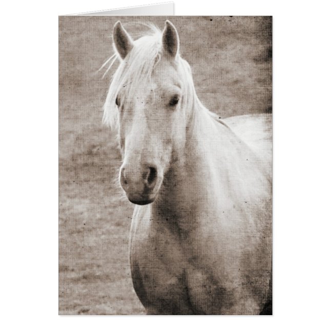 Palomino Sepia (Voorkant)